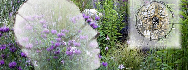 Nigel Ferguson Fabricators, fornitore di strutture su misura per il settore edile Il giardino McCarthy and Stone